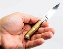 Военный нож Павловские ножи Поваренок