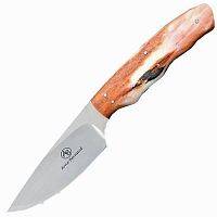 Нож с фиксированным клинком Arno Bernard Hummingbird