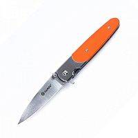 Складной нож Нож складной Ganzo G743-1 можно купить по цене .                            