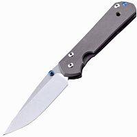 Складной нож Chris Reeve Large Sebenza 21 Polished Blade можно купить по цене .                            