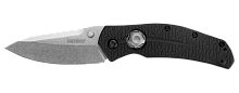 Складной нож Thistle KERSHAW 3812 можно купить по цене .                            