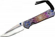 Складной нож Нож складной Chris Reeve Large Sebenza 21 Geometric можно купить по цене .                            