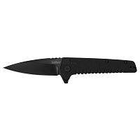 Складной полуавтоматический нож Kershaw Fatback K1935 можно купить по цене .                            
