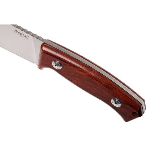 236 Lion Steel Нож с фиксированным клинком LionSteel M2 ST фото 5
