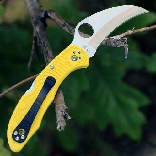 Складной нож Spyderco Tasman Salt 2 - 106PYL2 фото 3 Складной нож Spyderco Tasman Salt 2 - 106PYL2 фото 3